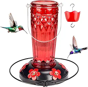 6 Feeding Ports Glass Hummingbird feeders for Outdoors,Wide Mouth for Easy Filling/Cleaning